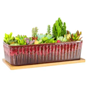 Artketty B0fb8zhct8 Succulent Pots - 12 Inch Large Planters With Drainage Tray Window Sil