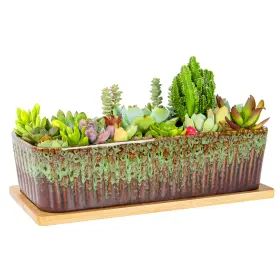 B0fb8zqfks Artketty 12 Inch Large Ceramic Succulent Planter Pot With Drainage Tray Window Sill