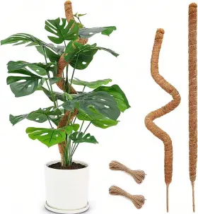 Biestjp 673658263747 Moss Pole Monstera Plant Support - 2 Pack 28 Inch Bendable Coco Coir For Ind