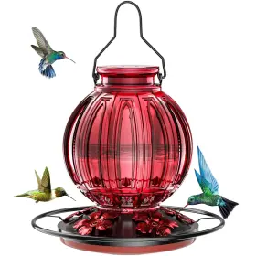 B0ct2r44nw Grete Gotye Glass Hummingbird Feeder For Outdoors Hanging 26oz 5 Ports Leakproof