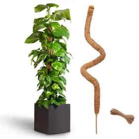 Huantuo Wh001 48 Inch Bendable Moss Pole For Plants Monstera Coir Plant Stick Suppor