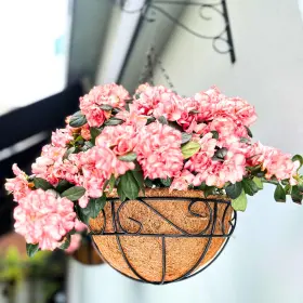 B0cbnygw5r L Green Lalagreen 14 Inch Hanging Planter Baskets For Outdoor Plants - 4-pack