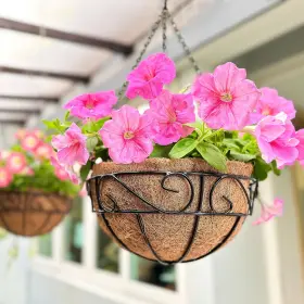 B0cbnzmjdj L Green Lalagreen 14 Inch Black Hanging Planters For Outdoor Plants - 2 Pack Basket