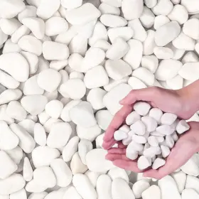 Lechloris B0cpxsc4km 20lb Snow White River Rock Decorative Pebbles For Plants/landscaping