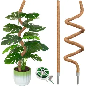 Pole-0317 Ledanba 2 Pack 55ftft Moss Pole - Poles For Climbing Plants Monstera Large Monst