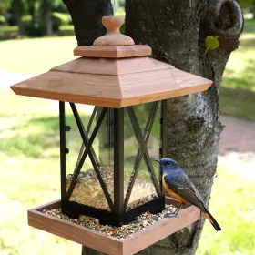 Liawm B0ddc2fl4w Cedar Metal Hanging Bird Feeder For Outdoors - Large Capacity Weatherproof Bla
