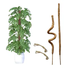 Mtalluste H-72-122-153 2 Pack Moss Pole 48 Inch Bendable For Monstera - Tall Climbing Plant Support