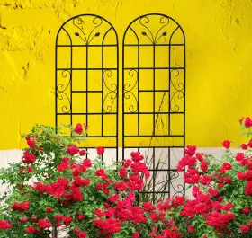 Ak-pgtsm09011-k0 Nobrand Metal Garden Trellis For Climbing Plants 2 Pack 86.7 Inch X19.7 Black