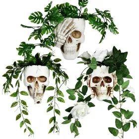 Rimcereal B0f62nn5lc 3 Pcs Skull Planter Skeleton Wall Hanging Pot Gothic Spooky He
