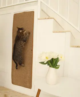 Sandpeak 198715354379 Cat Wall Climbing Carpet - Climber 50 Inch X 17 With Fixed Nails S