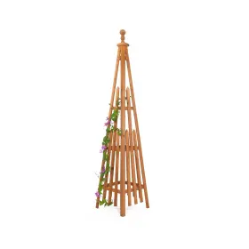 030tf Sciengarden Wooden Obelisk Trellis The Ideal Support For Indoor And Outdoor Gardens Perf