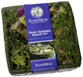 Supermoss B0cwbyqzm6 Fairy Garden Kit Moss Basket Accessories Diy Craft Kids