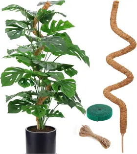 Vastcury G0-riqb-ubsa 48 Inch Moss Pole Bendable For Plants Monstera - Poles Cl