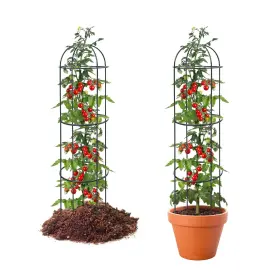 Vughiua 12zhiwuptzj-lvs-5c-2p 2pcs Trellis For Climbing Plants Outdoor 75 Inch Tall Heavy Duty Metal Obelisk G