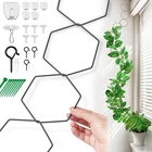 Chain Trellis For Climbing Plants - Indoor & Outdoor House Accessories ... New. Price: $25.35.