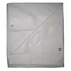 Standard Duty Tarp, 7 Ft 4 X 9 In, 15 Mil, White, Vinyl, 5WTW6 New. Price: $54.39.