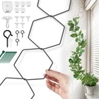 Chain Trellis For Climbing Plants - Indoor & Outdoor House Accessories ... New. Price: $25.94.