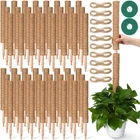 50 Pcs Moss For Monstera Support 16.5 Inch Coir Poles Benda... New. Price: $118.79.