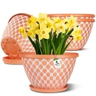4 Pack 10 Inch Flower Pots With Drainage, Plastic Planters For Indoor Outdoor... New. Price: $35.84.
