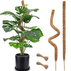 Pack Moss 28 Inch Bendable For Plants Monstera Poles Fo... New. Price: $23.75.