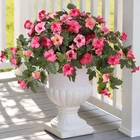 Ammyoo Artificial Fake Petunia Flowers For Outdoor Decoration, 2PCS Faux Silk New. Price: $52.71.