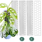 Plastic Moss Pole 4 Pack 17 Inch For Climbing Plants Monstera, Supp... New. Price: $28.91.