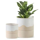 Nihow Self Watering Pot For Indoor Plants: 4.5+6 Inch Ceramic Planter W... New. Price: $45.88.