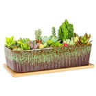 12" Large Ceramic Succulent Planter Pot With Drainage Tray Window Sill New. Price: $37.48.
