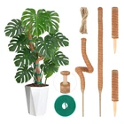 Moss Monstera Plant Support, All Growth Stages, Two 28'' Bendable Poles ... New. Price: $27.83.