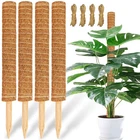 4 Pack Jjgoo Moss Pole, 17 Coco Coir Totem Poles Inch, Brown. Price: $18.98.