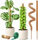 CRAFT911 Moss Pole Monstera Plant Support Pack 28 Bendable New. Price: $15.66.