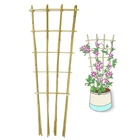 Natural Bamboo Trellis, 3FEET,3PACK,FAN-SHAPED Plant Support For Outd... New. Price: $45.16.