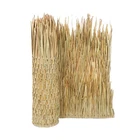 Forever Bamboo Mexican Palm Thatch Roof Runner Roll Eco-friendly Duck Bli... New. Price: $118.84.