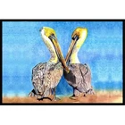 Carolines Treasures 8539-JMAT 36 X 24 In. Pelican Indoor Outdoor Doormat New. Price: $40.78.
