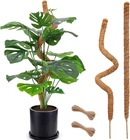 Pack Moss Pole, 28 Inch Bendable For Plants Monstera, Poles New. Price: $18.95.