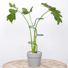Goooxim Set Of 3 Sturdy Metal Plant Support Stakes For Indoor Outdoor Use - New. Price: $28.95.