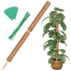 Moss Augshy Total Length 43 Inch Poles - 2PCS 24 Plants Support New. Price: $40.90.