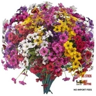 Grunyia 20 Bundles Artificial Flowers, Outdoor Indoor Uv Resistant Fake New. Price: $51.79.