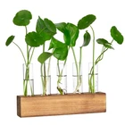 Yibot Propagation Stations, Plant Terrarium With Wooden Stand, 5 Glass Test T... New. Price: $21.07.