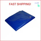 8' X 10' Foremost Tarp 80810 Blue Cut Size 5-MIL New. Price: $13.99.