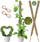 Moss Pole 2 Pack 30INCH Monstera Plant Support Bendable F... New. Price: $17.21.