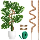 Imezos Inch Moss Pole For Plants, Tall 2-PACK (63''), X 30. Price: $27.66.