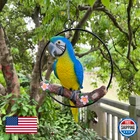 Bsirzam Hanging Scarlet Macaw Parrot Metal Ring Decor, Tropical Home Art New. Price: $74.12.