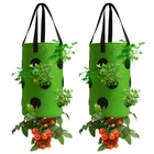 Homyhoo 2 Pack Green Upside Down Tomato & Herb Planter, Set Of - New. Price: $21.53.