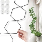 Chain Trellis For Climbing Plants - Indoor & Outdoor House Black New. Price: $24.06.
