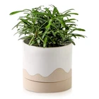 Nihow Ceramic Pot: Inch 6" Normal Planter, White & Nature New. Price: $38.57.
