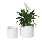 Nihow Flower - 5 & 7 Inch Ceramic Planter Pots For Indoor Plants Sturdy... New. Price: $37.93.