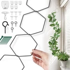 Chain Trellis For Climbing Plants - Indoor & Outdoor House Black New. Price: $24.06.