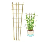 Natural Bamboo Trellis, 4FEET,3PACK,FAN-SHAPED Plant Support For Outd... New. Price: $52.08.