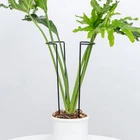 Goooxim 10 Pack Large Iron Monstera Trellis Heavy-duty Plant Supports 15.5 New. Price: $42.57.